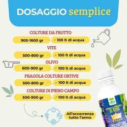 ALBAG OSSICLORURO DI RAME REALE FLOW 20% - 1 Kg CONCIME CE