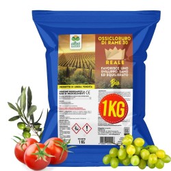 ALBAG OSSICLORURO DI RAME REALE 30% x 1 Kg CONCIME CE