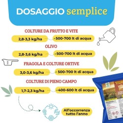 ALBAG OSSICLORURO DI RAME REALE 30% x 1 Kg CONCIME CE