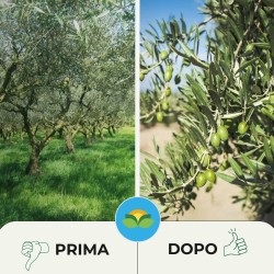ALBAG OSSICLORURO DI RAME REALE 30% x 1 Kg CONCIME CE