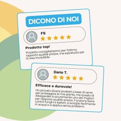 ALBAG OSSICLORURO DI RAME REALE 30% x 1 Kg CONCIME CE