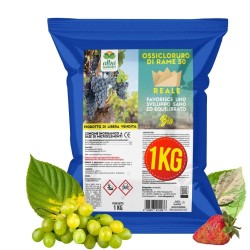 ALBAG OSSICLORURO DI RAME REALE 50% x 1 Kg CONCIME CE