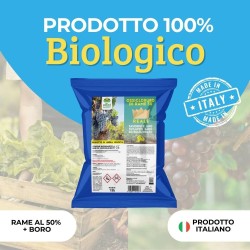 ALBAG OSSICLORURO DI RAME REALE 50% x 1 Kg CONCIME CE