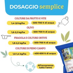 ALBAG OSSICLORURO DI RAME REALE 50% x 1 Kg CONCIME CE