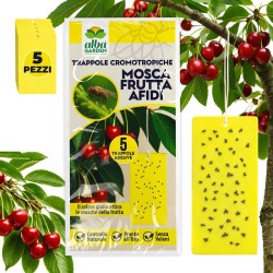 ALBAG TEMO-O-CID COLORTRAP MEDIUM GIALLO MOSCA BIANCA 10 pz