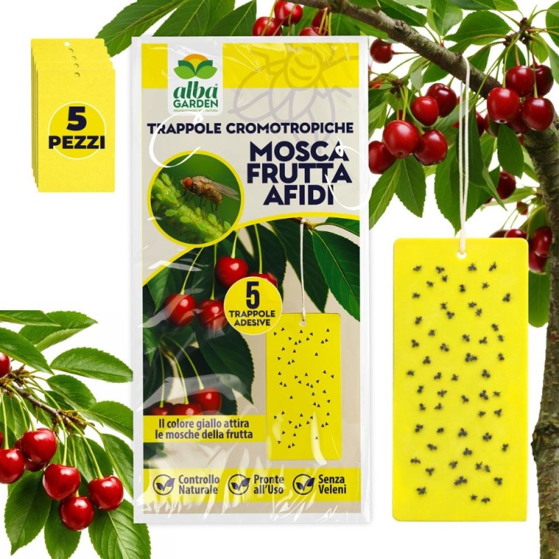 ALBAG TEMO-O-CID COLORTRAP MEDIUM GIALLO MOSCA BIANCA 10 pz