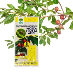 ALBAG TEMO-O-CID COLORTRAP MEDIUM GIALLO MOSCA BIANCA 10 pz