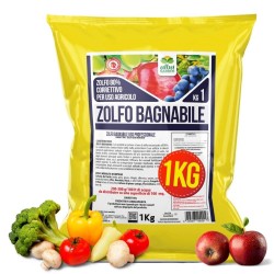ALBAGARDEN ZOLFO 80 BAGNABILE 1 Kg