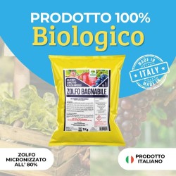 ALBAGARDEN ZOLFO 80 BAGNABILE 1 Kg