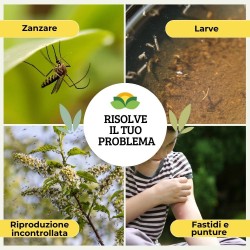 ALBAGARDEN BACILLUS PFnPE 10 GR ZANZARE