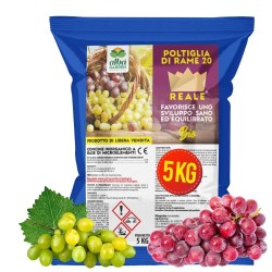 ALBAG POLTI REALE 20% - 5 Kg CONCIME CE