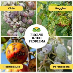 ALBAG POLTI REALE 20% - 5 Kg CONCIME CE