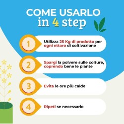 ALBAGARDEN ZOLFO CONCIME CE RAMATO 5 - 10 KG