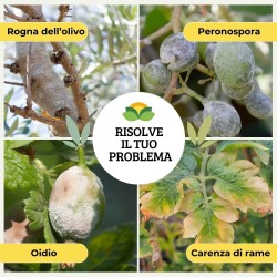 ALBAGARDEN CUPROLIVO FLOW 5 Kg - CONCIME CE