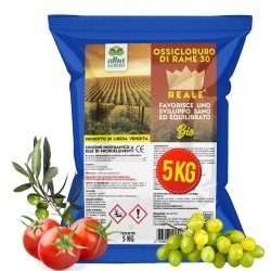 ALBAG OSSICLORURO DI RAME REALE 30% x 5 Kg CONCIME CE