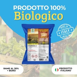 ALBAG OSSICLORURO DI RAME REALE 30% x 5 Kg CONCIME CE