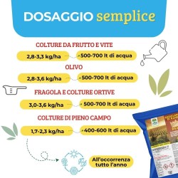 ALBAG OSSICLORURO DI RAME REALE 30% x 5 Kg CONCIME CE