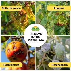ALBAG OSSICLORURO DI RAME REALE 30% x 5 Kg CONCIME CE
