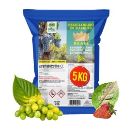ALBAG OSSICLORURO DI RAME REALE 50% x 5 KG CONCIME CE