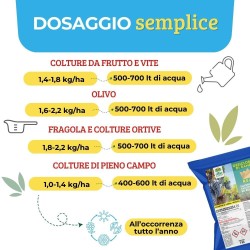 ALBAG OSSICLORURO DI RAME REALE 50% x 5 KG CONCIME CE
