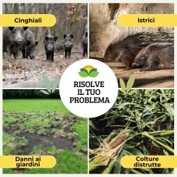 ALBAGARDEN DISABITUANTE CINGHIALI GRANULARE 5 Lt