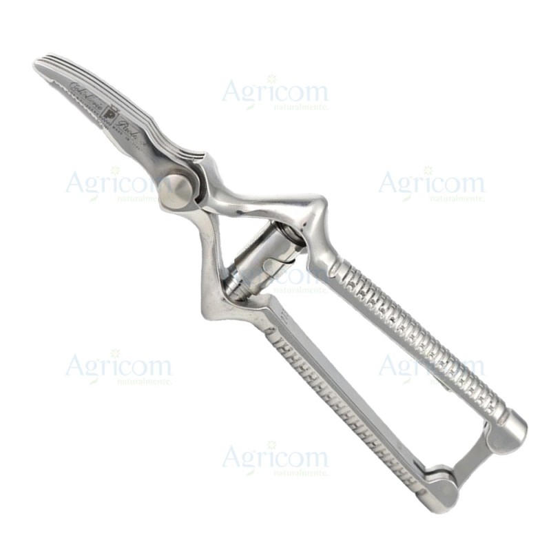 ART. 808 MASTICATORE INOX, CURVO