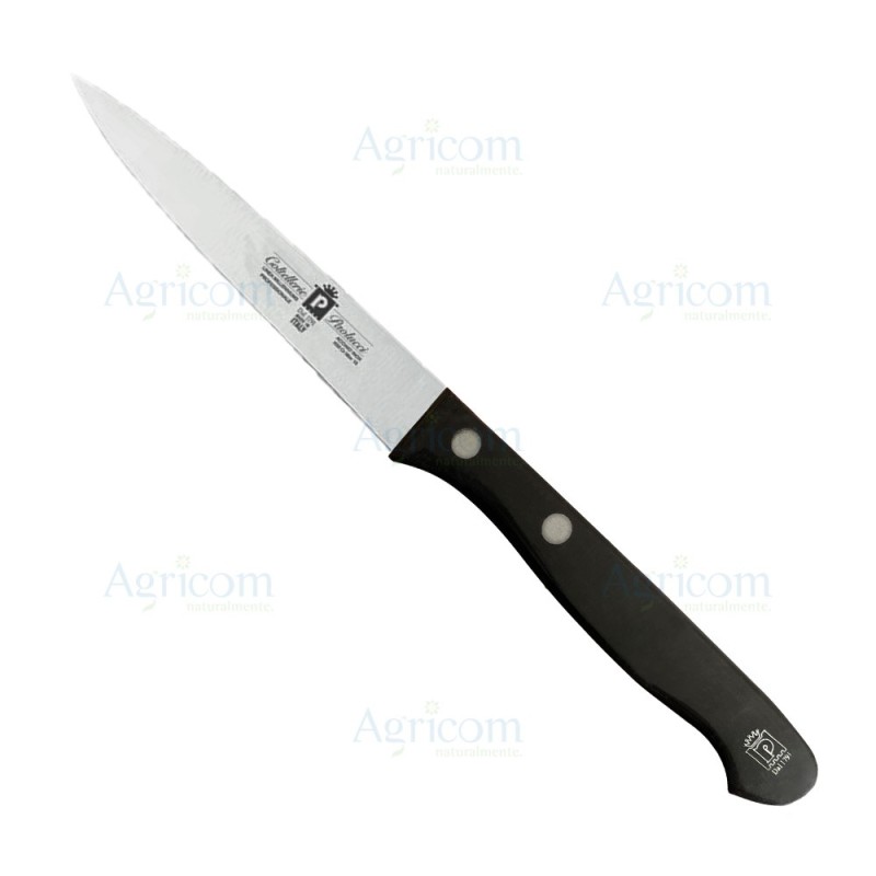 ART. 1503 SPELUCCHINO, MANICO IN A.B.S., LAMA INOX - 11 CM