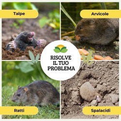 ALBAGARDEN DISABITUANTE TALPE GRANULARE 5 Lt