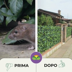 ALBAGARDEN DISABITUANTE TOPI E RATTI SFERE DI CELLULOSA 100 g