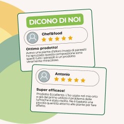 ALBAGARDEN BARRIERA LUMACHE NATURALE CON OSSIDO DI FERRO 750 g