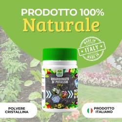 ALBAGARDEN BICARBONATO DI POTASSIO 250 g