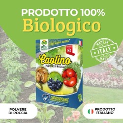 ALBAGARDEN CAOLINO POLVERE DI ROCCIA 1 Kg