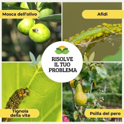 ALBAGARDEN CAOLINO POLVERE DI ROCCIA 1 Kg