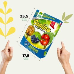 ALBAGARDEN CAOLINO POLVERE DI ROCCIA 1 Kg