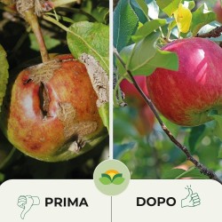 ALBAGARDEN CAOLINO POLVERE DI ROCCIA 200 g