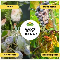 ALBAGARDEN ESTRATTO DI EQUISETO CONCENTRATO 500 ml