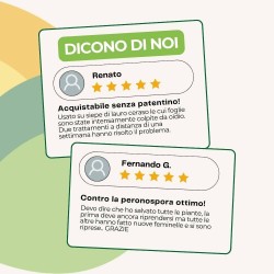 ALBAGARDEN ESTRATTO DI EQUISETO CONCENTRATO 500 ml