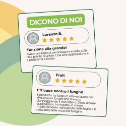 ALBAGARDEN ESTRATTO DI EQUISETO SPRAY 1 Lt RTU