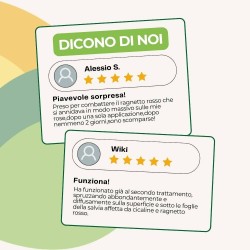 ALBAGARDEN ESTRATTO DI ORTICA SPRAY 1 Lt RTU