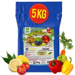 ALBAGARDEN CAOLINO POLVERE DI ROCCIA 5 Kg