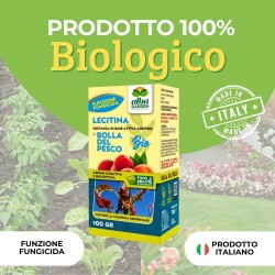 ALBAGARDEN LECITINA IN POLVERE 100 g