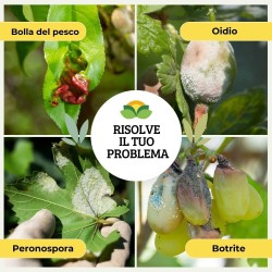 ALBAGARDEN LECITINA IN POLVERE 100 g