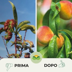 ALBAGARDEN LECITINA IN POLVERE 100 g