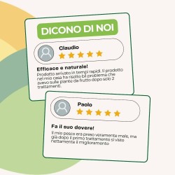 ALBAGARDEN LECITINA IN POLVERE 100 g