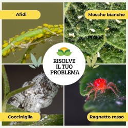 ALBAGARDEN OLIO BIANCO VEGETALE 500 ml