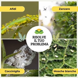 ALBAGARDEN OLIO DI NEEM SPRAY 1 Lt RTU