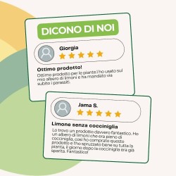 ALBAGARDEN OLIO DI NEEM SPRAY 1 Lt RTU