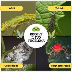 ALBAGARDEN OLIO DI SOIA SPRAY 1 Lt RTU