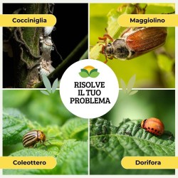 ALBAGARDEN OMEOKURA COCCINIGLIA 750 ml