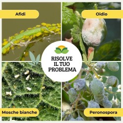 ALBAGARDEN PROPOLIS SPRAY 1 Lt RTU
